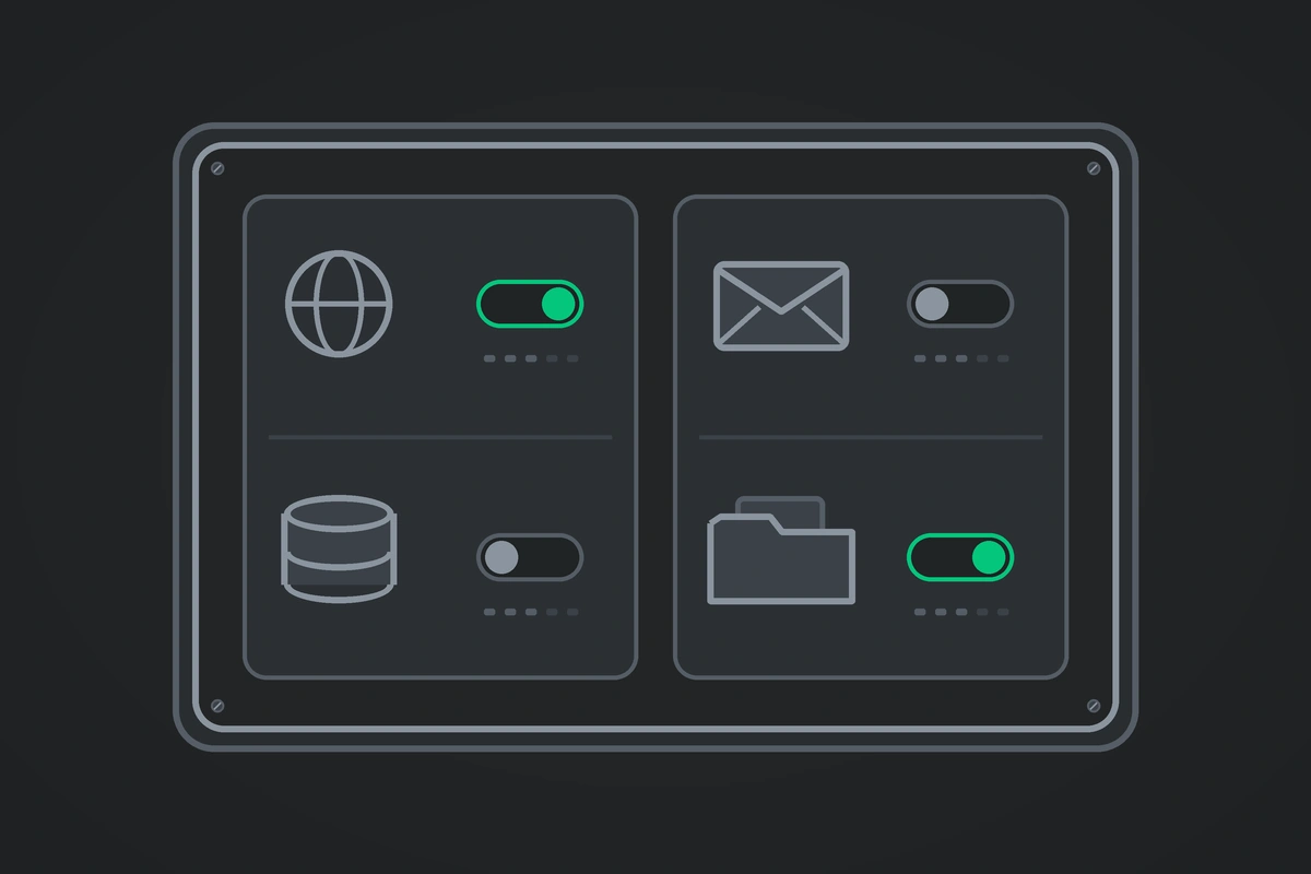 Illustration for “Hosting Control Panel: What It Is for and Its Types”
